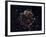 A Detailed View at the Tattered Remains of a Supernova Explosion known as Cassiopeia A-Stocktrek Images-Framed Photographic Print