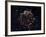 A Detailed View at the Tattered Remains of a Supernova Explosion known as Cassiopeia A-Stocktrek Images-Framed Photographic Print