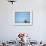 A Devotee Immerses the Idol of Elephant-Headed Hindu God Ganesh-null-Framed Photographic Print displayed on a wall