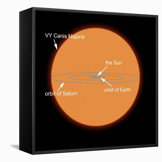 A Diagram Comparing the Sun to VY Canis Majoris-Stocktrek Images-Framed Premier Image Canvas