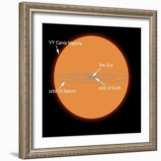 A Diagram Comparing the Sun to VY Canis Majoris-Stocktrek Images-Framed Photographic Print