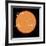 A Diagram Comparing the Sun to VY Canis Majoris-Stocktrek Images-Framed Photographic Print