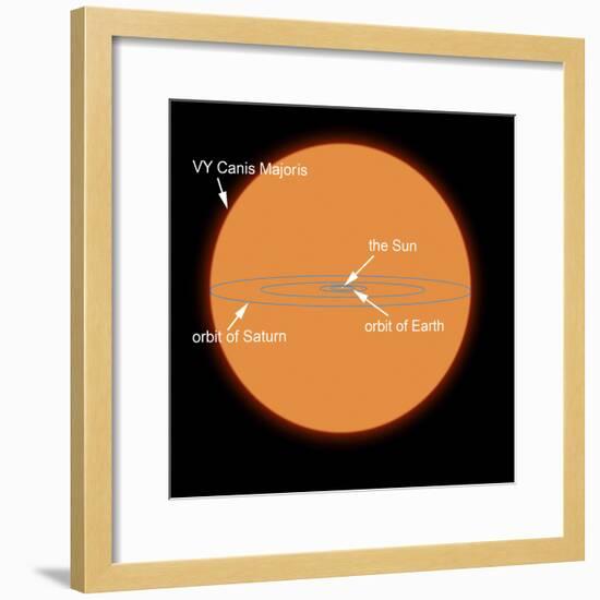 A Diagram Comparing the Sun to VY Canis Majoris-Stocktrek Images-Framed Photographic Print