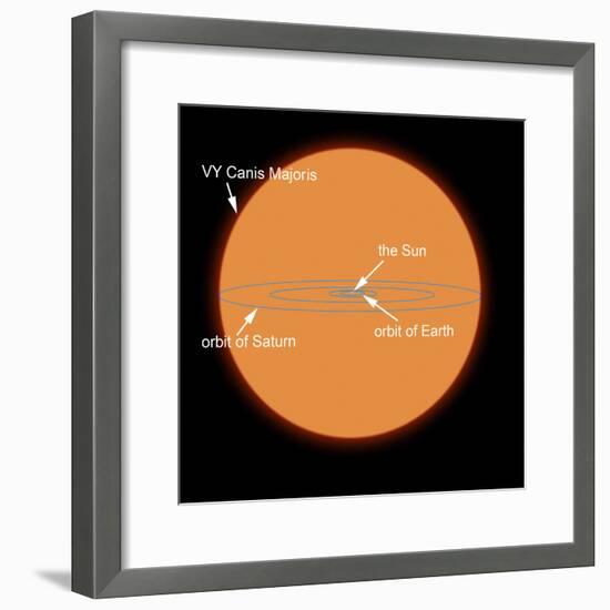 A Diagram Comparing the Sun to VY Canis Majoris-Stocktrek Images-Framed Photographic Print