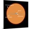 A Diagram Comparing the Sun to VY Canis Majoris-Stocktrek Images-Mounted Photographic Print