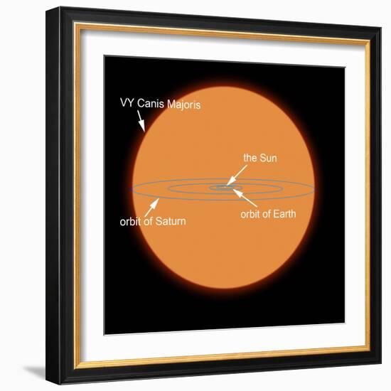 A Diagram Comparing the Sun to VY Canis Majoris-Stocktrek Images-Framed Photographic Print