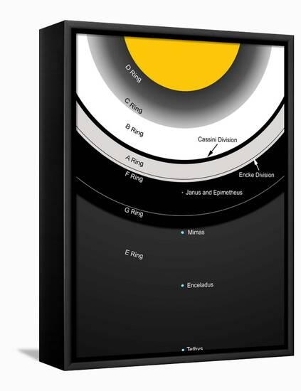 A Diagram Showing the Major Features of Saturn's Rings-Stocktrek Images-Framed Premier Image Canvas
