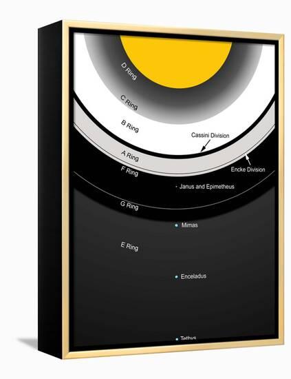A Diagram Showing the Major Features of Saturn's Rings-Stocktrek Images-Framed Premier Image Canvas