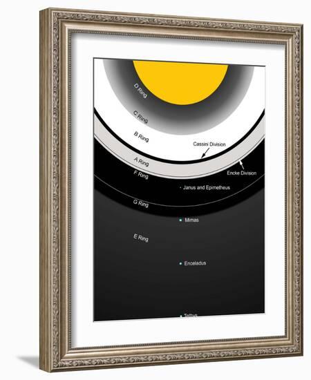 A Diagram Showing the Major Features of Saturn's Rings-Stocktrek Images-Framed Photographic Print