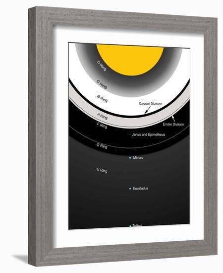 A Diagram Showing the Major Features of Saturn's Rings-Stocktrek Images-Framed Photographic Print