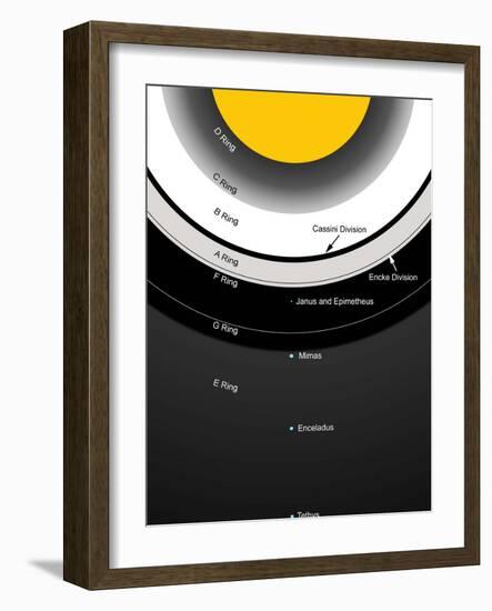 A Diagram Showing the Major Features of Saturn's Rings-Stocktrek Images-Framed Photographic Print