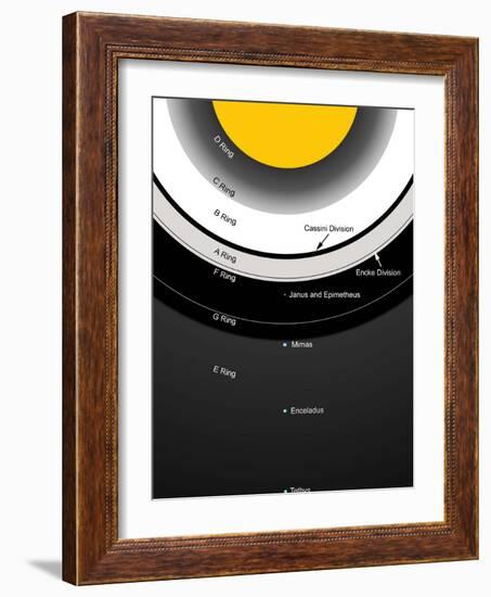 A Diagram Showing the Major Features of Saturn's Rings-Stocktrek Images-Framed Photographic Print