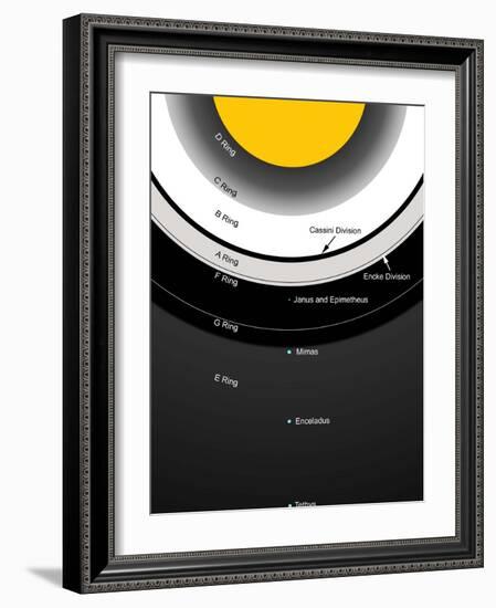 A Diagram Showing the Major Features of Saturn's Rings-Stocktrek Images-Framed Photographic Print