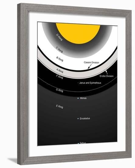 A Diagram Showing the Major Features of Saturn's Rings-Stocktrek Images-Framed Photographic Print