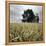 A Dilapidated Building in a Field-null-Framed Premier Image Canvas