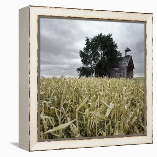 A Dilapidated Building in a Field-null-Framed Premier Image Canvas