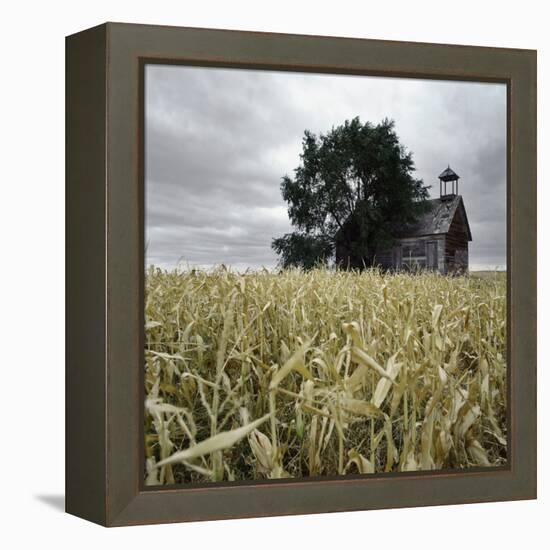 A Dilapidated Building in a Field-null-Framed Premier Image Canvas