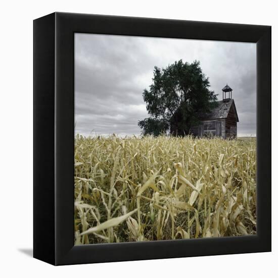 A Dilapidated Building in a Field-null-Framed Premier Image Canvas
