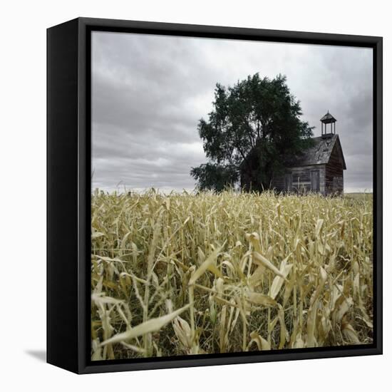 A Dilapidated Building in a Field-null-Framed Premier Image Canvas