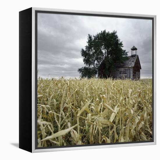 A Dilapidated Building in a Field-null-Framed Premier Image Canvas