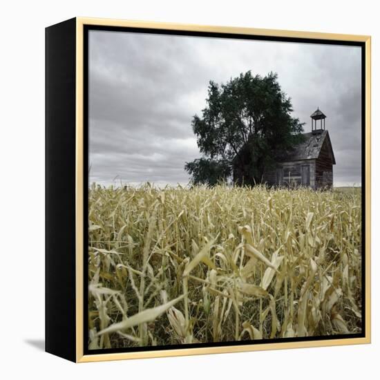 A Dilapidated Building in a Field-null-Framed Premier Image Canvas