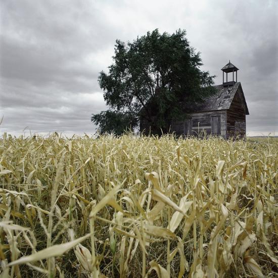 Photographic Print, , large