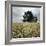 A Dilapidated Building in a Field-null-Framed Photographic Print