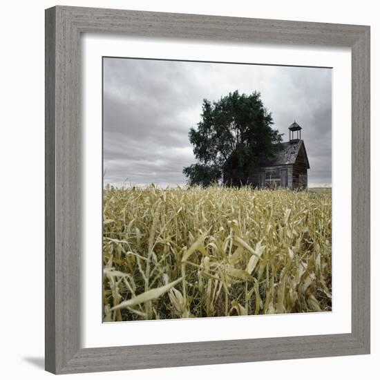 A Dilapidated Building in a Field-null-Framed Photographic Print