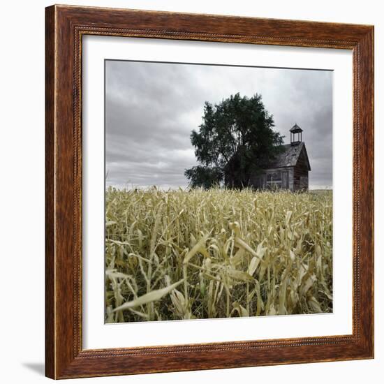 A Dilapidated Building in a Field-null-Framed Photographic Print