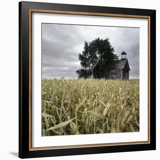 A Dilapidated Building in a Field-null-Framed Photographic Print