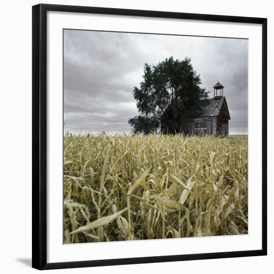 Photographic Print, , large