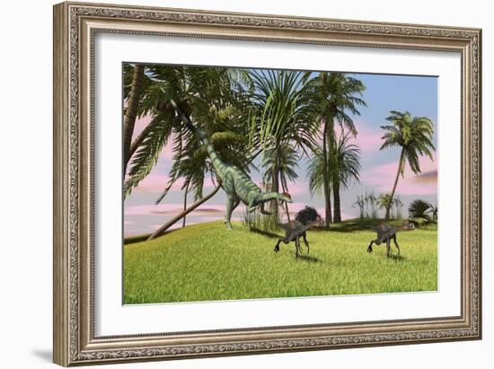 A Dilophosaurus Chasing Two Gigantoraptors across a Grassy Field-null-Framed Art Print