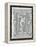 A Discus Thrower. Greece 1896 Olympic Games 10 Lepta, Unused-null-Framed Premier Image Canvas
