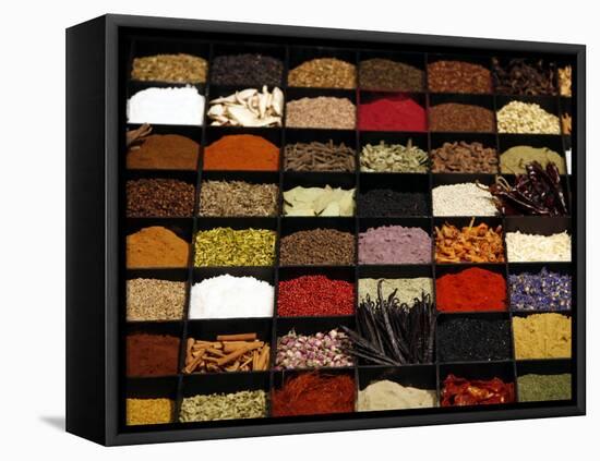 A Display of Spices Lends Color to a Section of Fancy Food Show, July 11, 2006, in New York City-Seth Wenig-Framed Premier Image Canvas