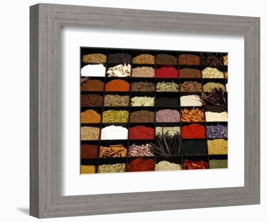 A Display of Spices Lends Color to a Section of Fancy Food Show, July 11, 2006, in New York City-Seth Wenig-Framed Photographic Print