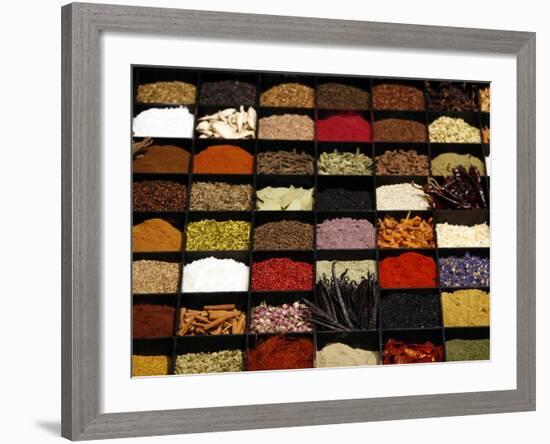 A Display of Spices Lends Color to a Section of Fancy Food Show, July 11, 2006, in New York City-Seth Wenig-Framed Photographic Print