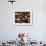 A Display of Spices Lends Color to a Section of Fancy Food Show, July 11, 2006, in New York City-Seth Wenig-Framed Photographic Print displayed on a wall