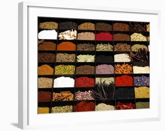 A Display of Spices Lends Color to a Section of Fancy Food Show, July 11, 2006, in New York City-Seth Wenig-Framed Photographic Print