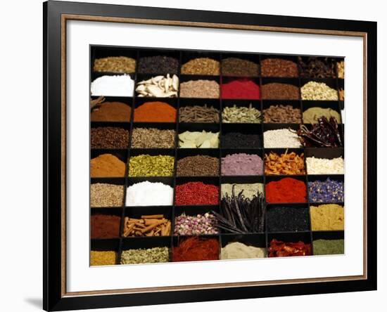 A Display of Spices Lends Color to a Section of Fancy Food Show, July 11, 2006, in New York City-Seth Wenig-Framed Photographic Print