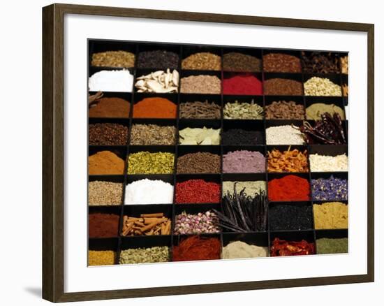 A Display of Spices Lends Color to a Section of Fancy Food Show, July 11, 2006, in New York City-Seth Wenig-Framed Photographic Print