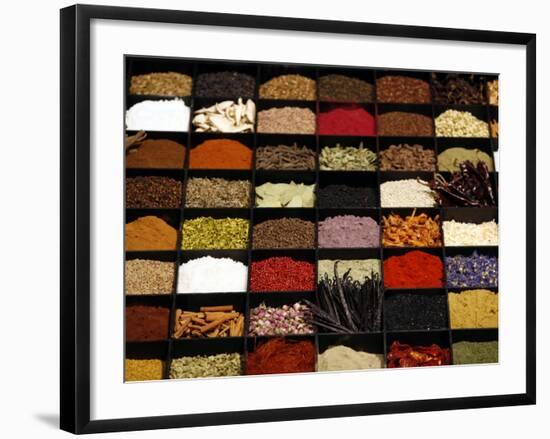 A Display of Spices Lends Color to a Section of Fancy Food Show, July 11, 2006, in New York City-Seth Wenig-Framed Photographic Print