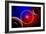 A Distant Alien Star System-null-Framed Premium Giclee Print