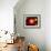 A Distant Binary Star System Located Within the Milky Way-Stocktrek Images-Framed Photographic Print displayed on a wall