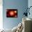 A Distant Binary Star System Located Within the Milky Way-Stocktrek Images-Photographic Print displayed on a wall