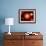 A Distant Binary Star System Located Within the Milky Way-Stocktrek Images-Framed Photographic Print displayed on a wall