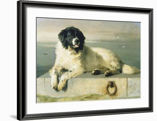 A Distinguished Member Of The Humane Society-Edwin Landseer-Framed Premium Giclee Print