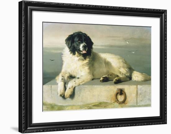 A Distinguished Member Of The Humane Society-Edwin Landseer-Framed Premium Giclee Print