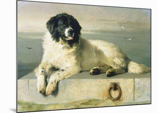 A Distinguished Member Of The Humane Society-Edwin Landseer-Mounted Premium Giclee Print