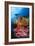 A Diver Approaches Colorful Soft Corals and Crinoids on the Reefs of Raja Ampat-null-Framed Photographic Print