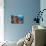 A Diver Approaches Colorful Soft Corals and Crinoids on the Reefs of Raja Ampat-null-Photographic Print displayed on a wall